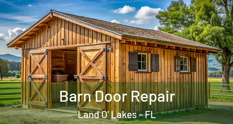 Barn Door Repair Land O' Lakes - FL