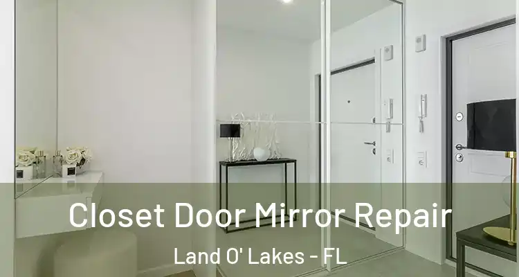 Closet Door Mirror Repair Land O' Lakes - FL