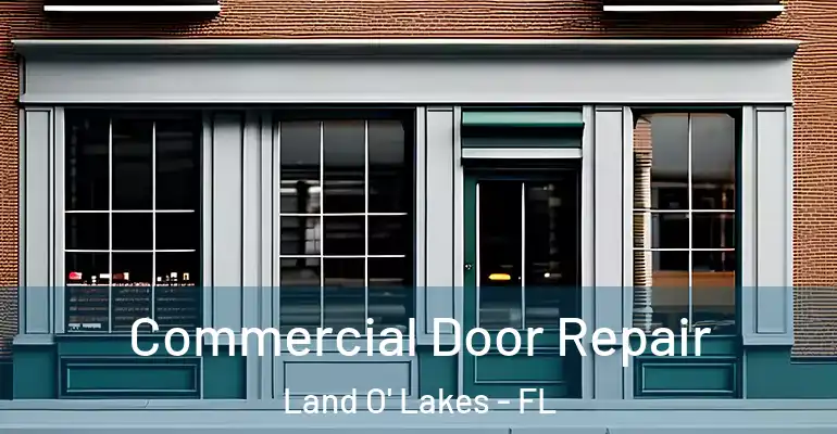 Commercial Door Repair Land O' Lakes - FL