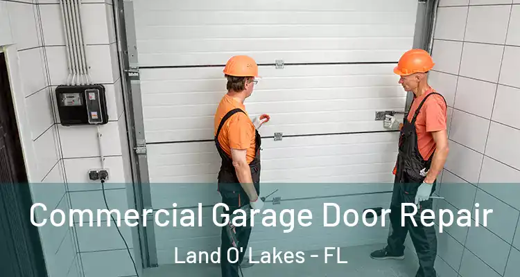 Commercial Garage Door Repair Land O' Lakes - FL