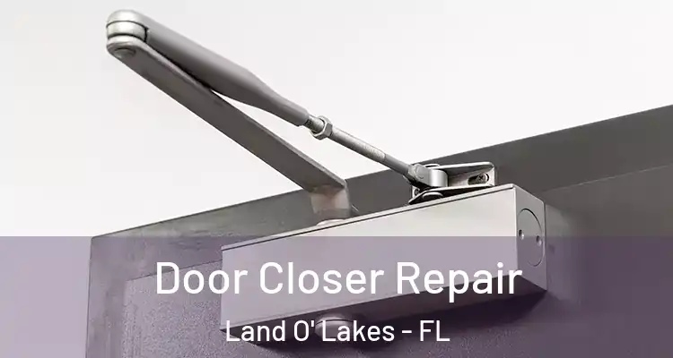 Door Closer Repair Land O' Lakes - FL