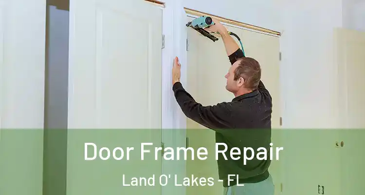 Door Frame Repair Land O' Lakes - FL