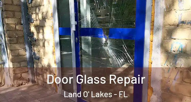 Door Glass Repair Land O' Lakes - FL