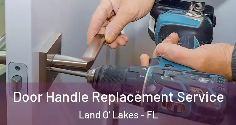 Door Handle Replacement Service Land O' Lakes - FL