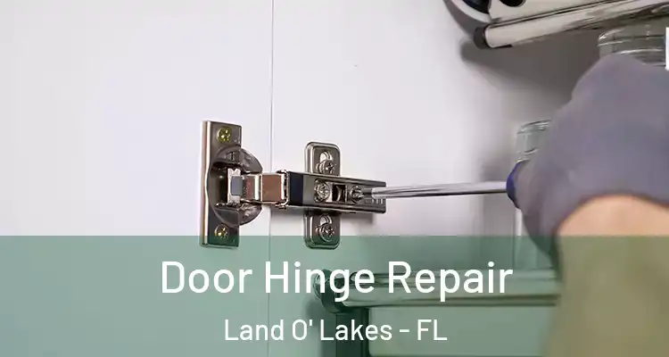 Door Hinge Repair Land O' Lakes - FL