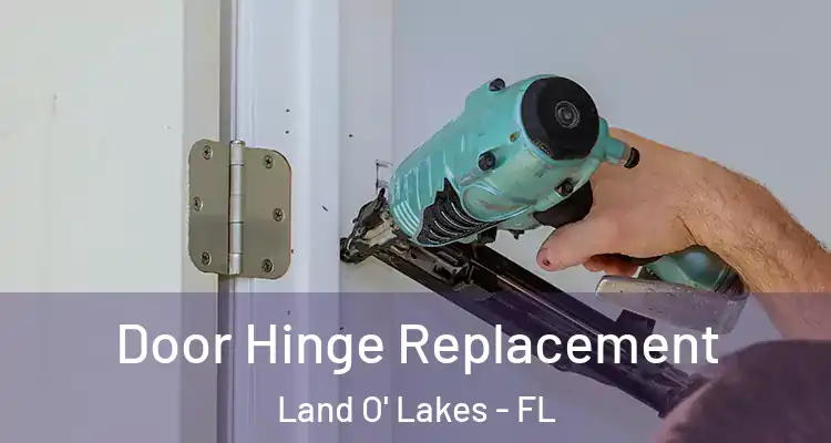 Door Hinge Replacement Land O' Lakes - FL