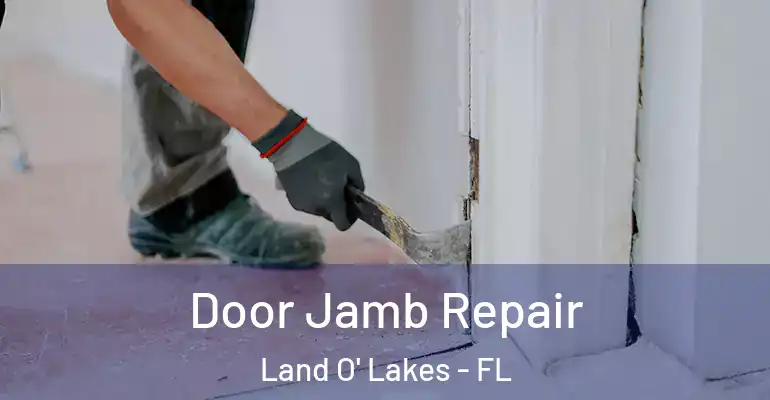 Door Jamb Repair Land O' Lakes - FL