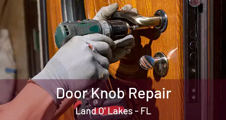 Door Knob Repair Land O' Lakes - FL