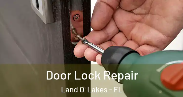 Door Lock Repair Land O' Lakes - FL