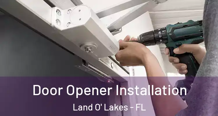 Door Opener Installation Land O' Lakes - FL