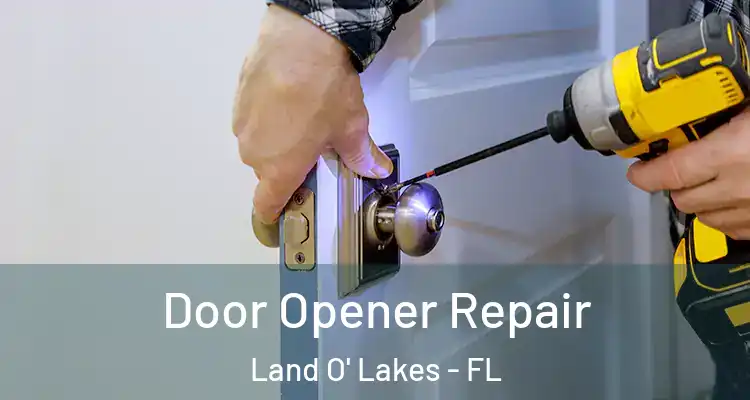 Door Opener Repair Land O' Lakes - FL