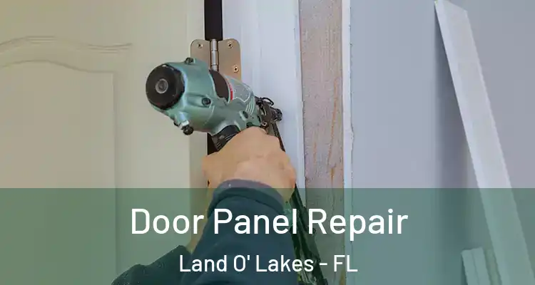 Door Panel Repair Land O' Lakes - FL