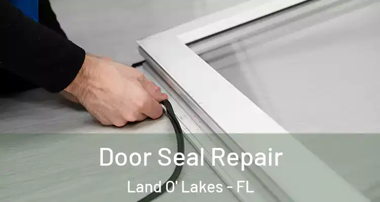 Door Seal Repair Land O' Lakes - FL