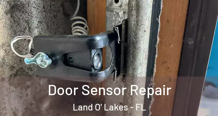 Door Sensor Repair Land O' Lakes - FL