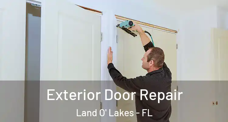 Exterior Door Repair Land O' Lakes - FL