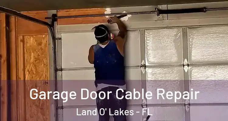 Garage Door Cable Repair Land O' Lakes - FL