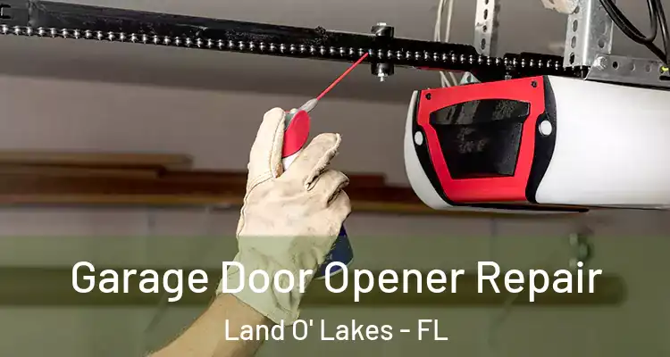 Garage Door Opener Repair Land O' Lakes - FL
