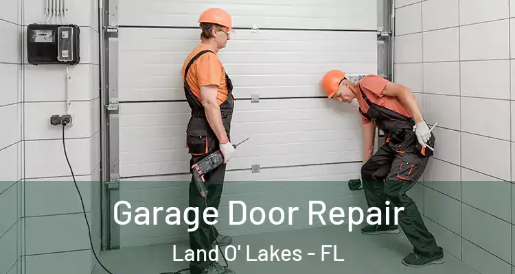 Garage Door Repair Land O' Lakes - FL