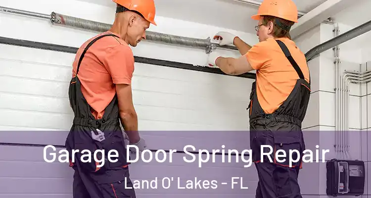 Garage Door Spring Repair Land O' Lakes - FL