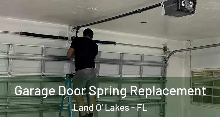 Garage Door Spring Replacement Land O' Lakes - FL