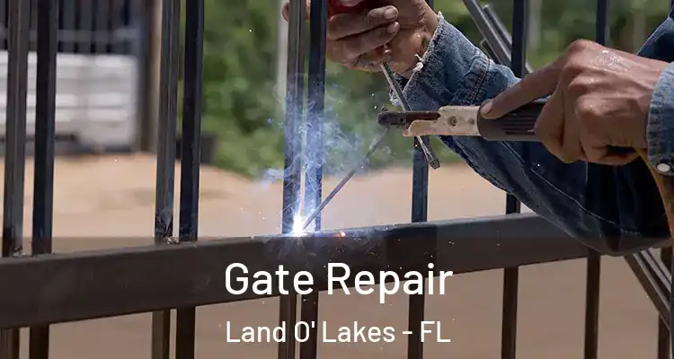 Gate Repair Land O' Lakes - FL