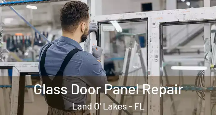 Glass Door Panel Repair Land O' Lakes - FL