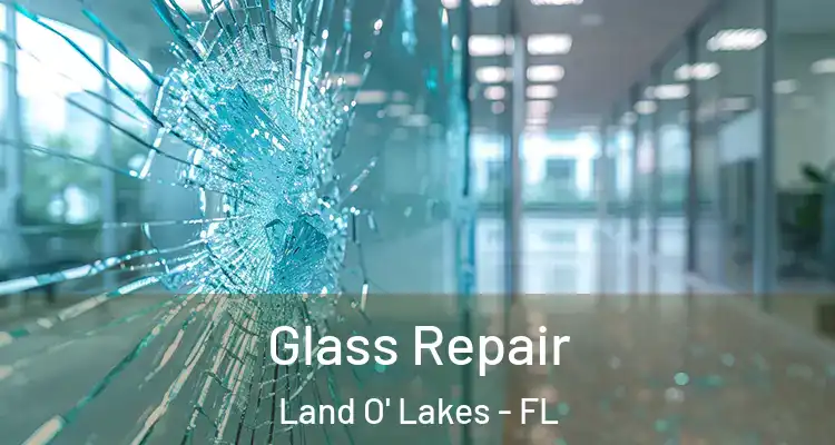 Glass Repair Land O' Lakes - FL