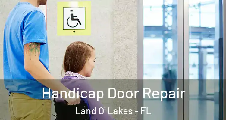 Handicap Door Repair Land O' Lakes - FL