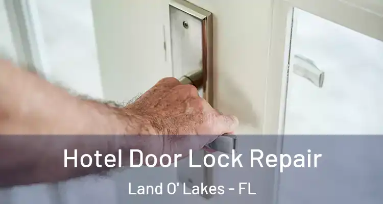 Hotel Door Lock Repair Land O' Lakes - FL