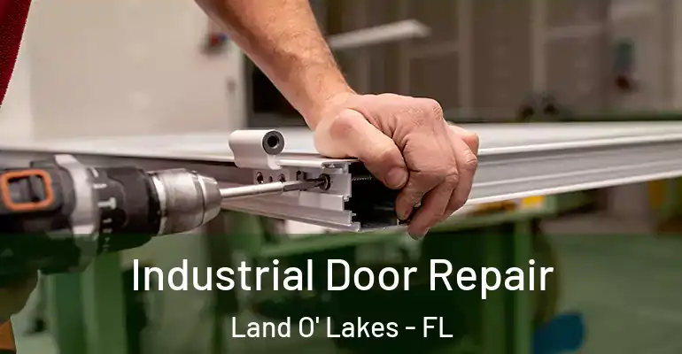 Industrial Door Repair Land O' Lakes - FL