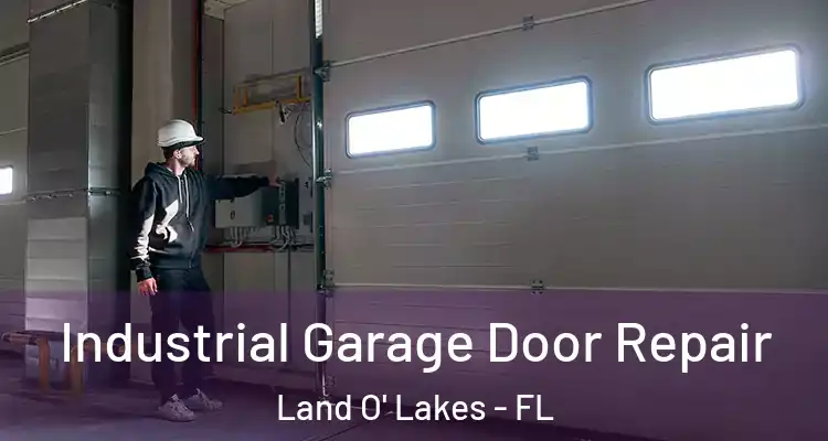 Industrial Garage Door Repair Land O' Lakes - FL