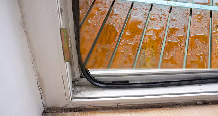 Water Leaking Wooden Patio Doors Repair in Land O' Lakes, FL
