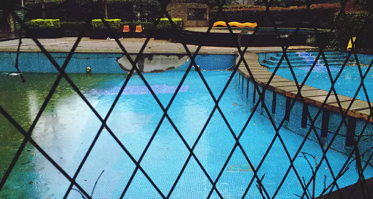 Lanai Screen Repair in Land O' Lakes, FL