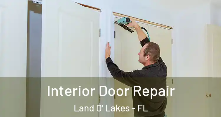 Interior Door Repair Land O' Lakes - FL