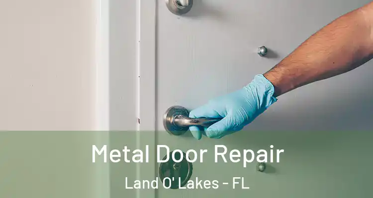 Metal Door Repair Land O' Lakes - FL