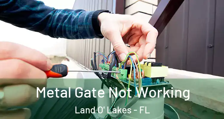 Metal Gate Not Working Land O' Lakes - FL