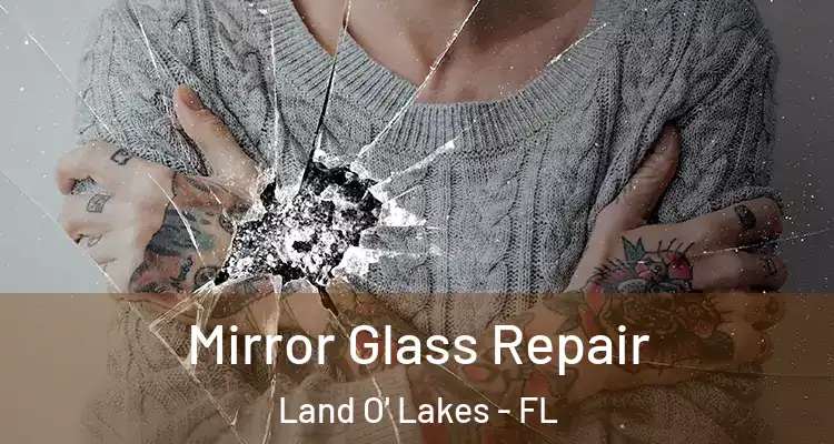Mirror Glass Repair Land O' Lakes - FL