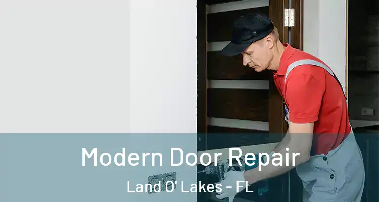 Modern Door Repair Land O' Lakes - FL