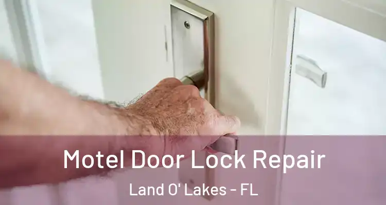 Motel Door Lock Repair Land O' Lakes - FL