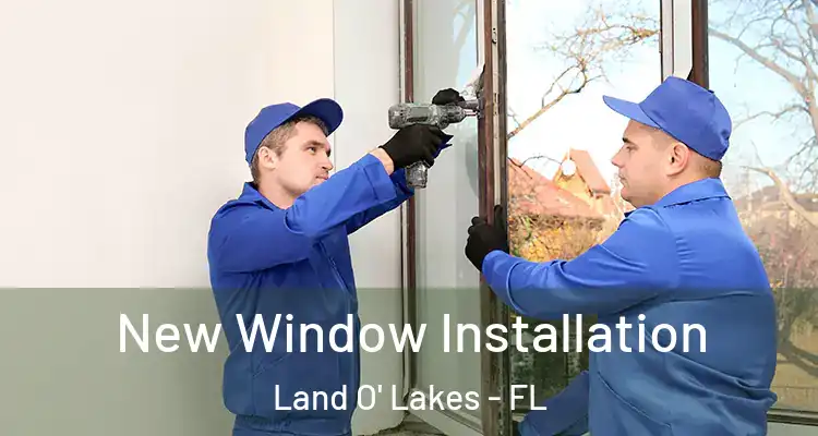 New Window Installation Land O' Lakes - FL