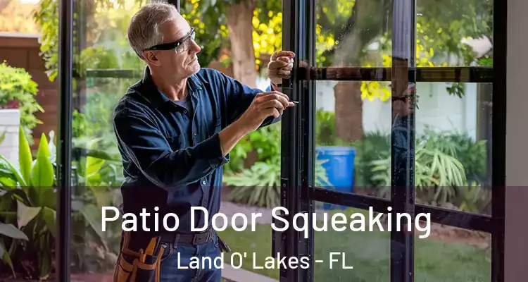 Patio Door Squeaking Land O' Lakes - FL