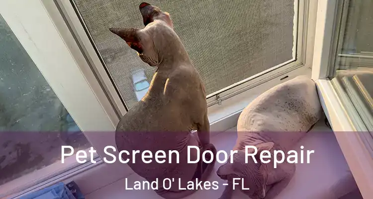Pet Screen Door Repair Land O' Lakes - FL