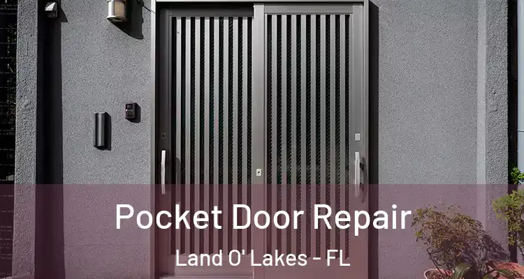 Pocket Door Repair Land O' Lakes - FL