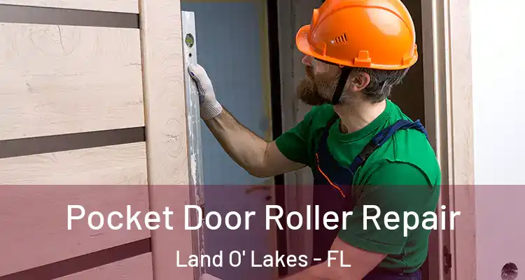 Pocket Door Roller Repair Land O' Lakes - FL