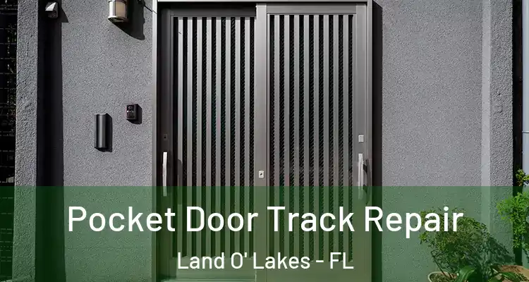 Pocket Door Track Repair Land O' Lakes - FL