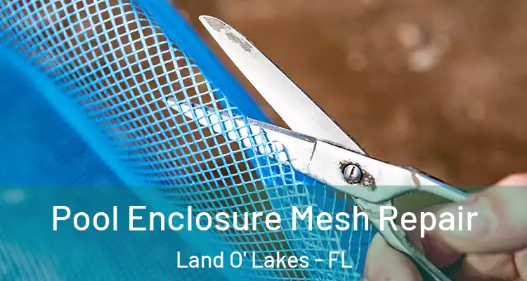 Pool Enclosure Mesh Repair Land O' Lakes - FL