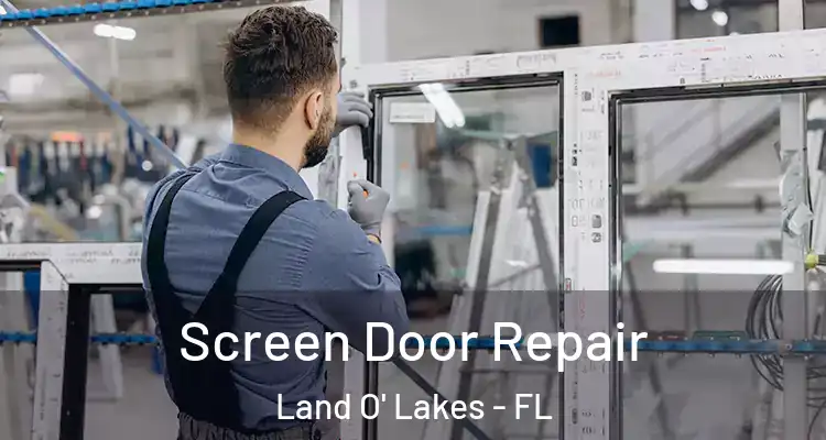 Screen Door Repair Land O' Lakes - FL