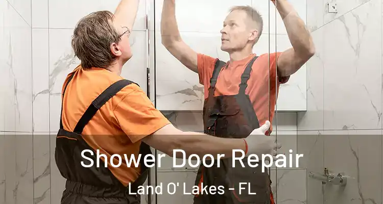 Shower Door Repair Land O' Lakes - FL