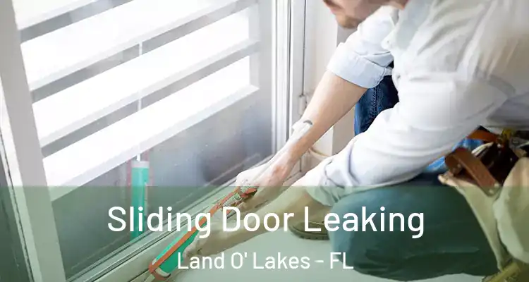 Sliding Door Leaking Land O' Lakes - FL