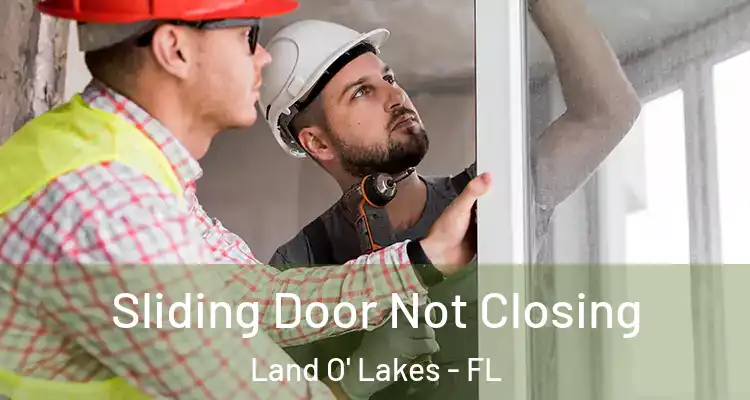 Sliding Door Not Closing Land O' Lakes - FL